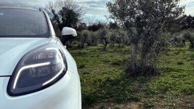 Ford Compolive