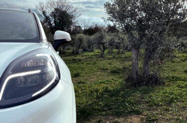 Ford Compolive