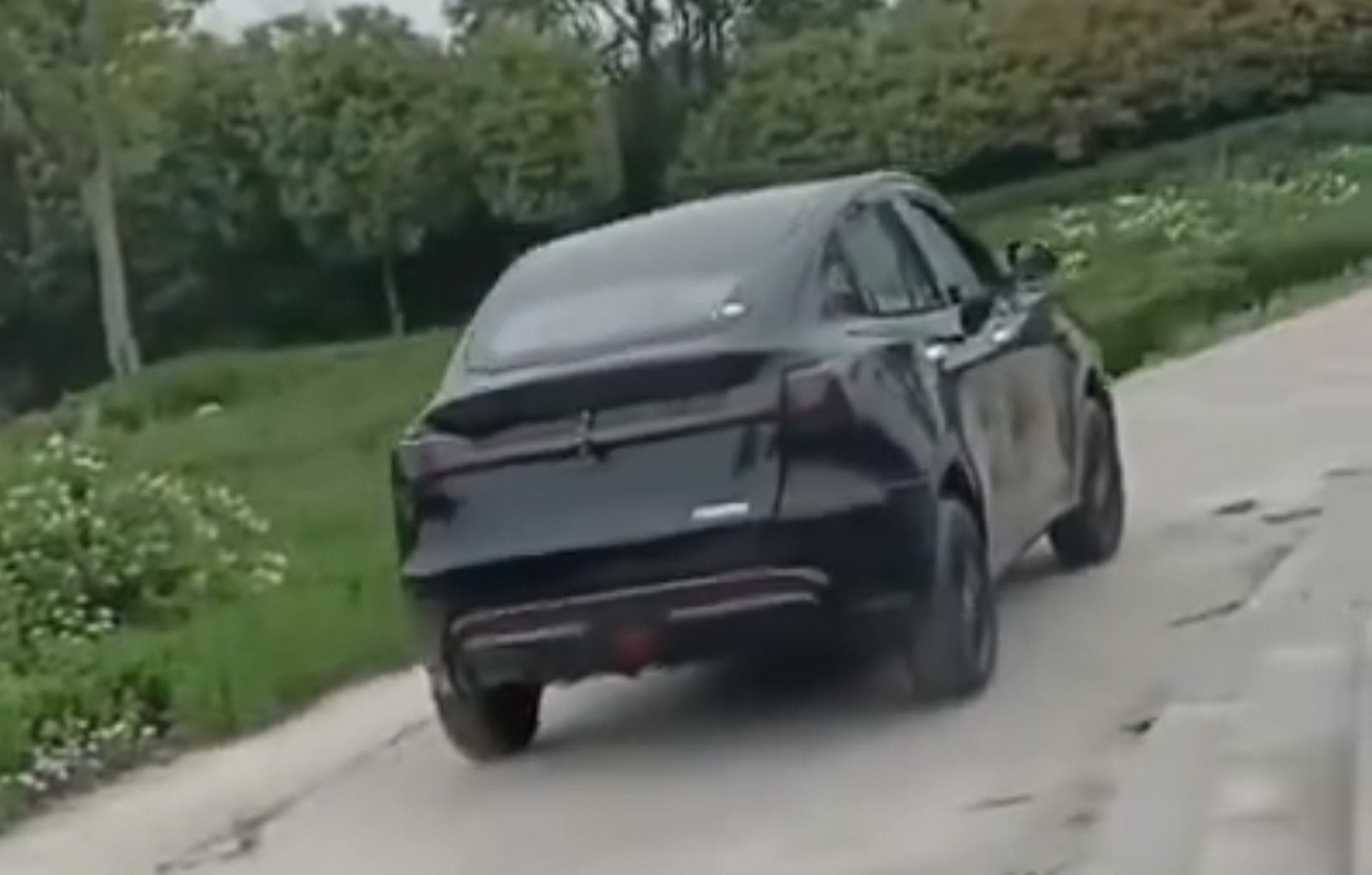 Temu Model Y