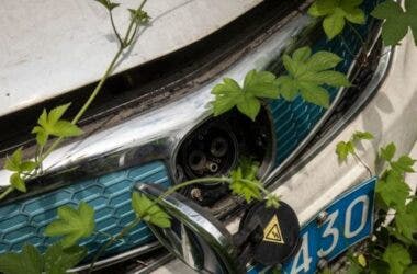 auto elettriche abbandonate