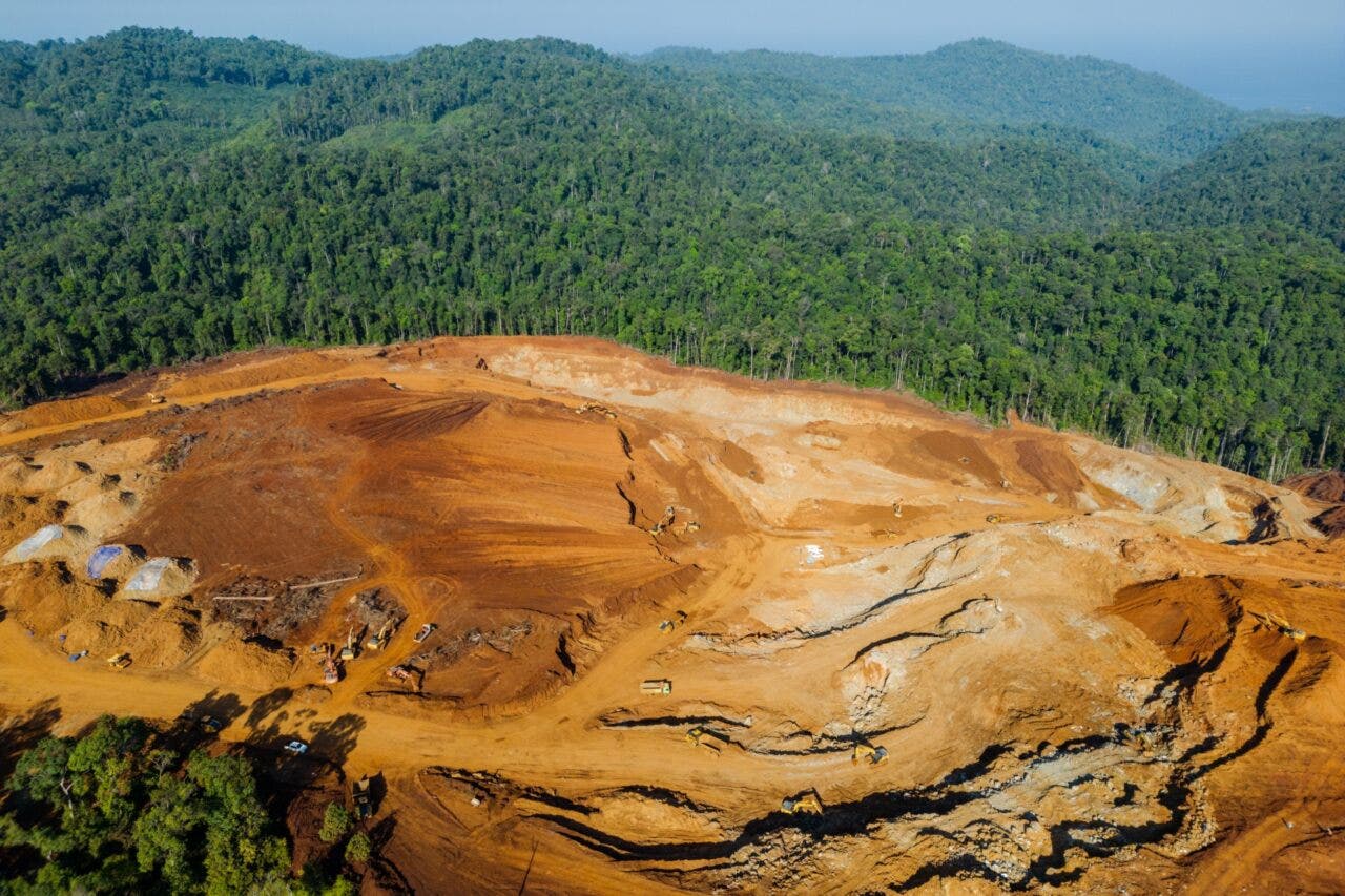 deforestazione per estrazione mineraria