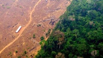 deforestazione per estrazione mineraria