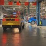 ford, stabilimento a colonia