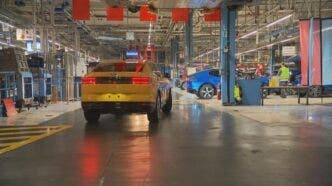 ford, stabilimento a colonia