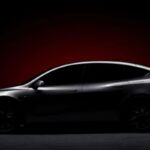 Tesla Model Y L