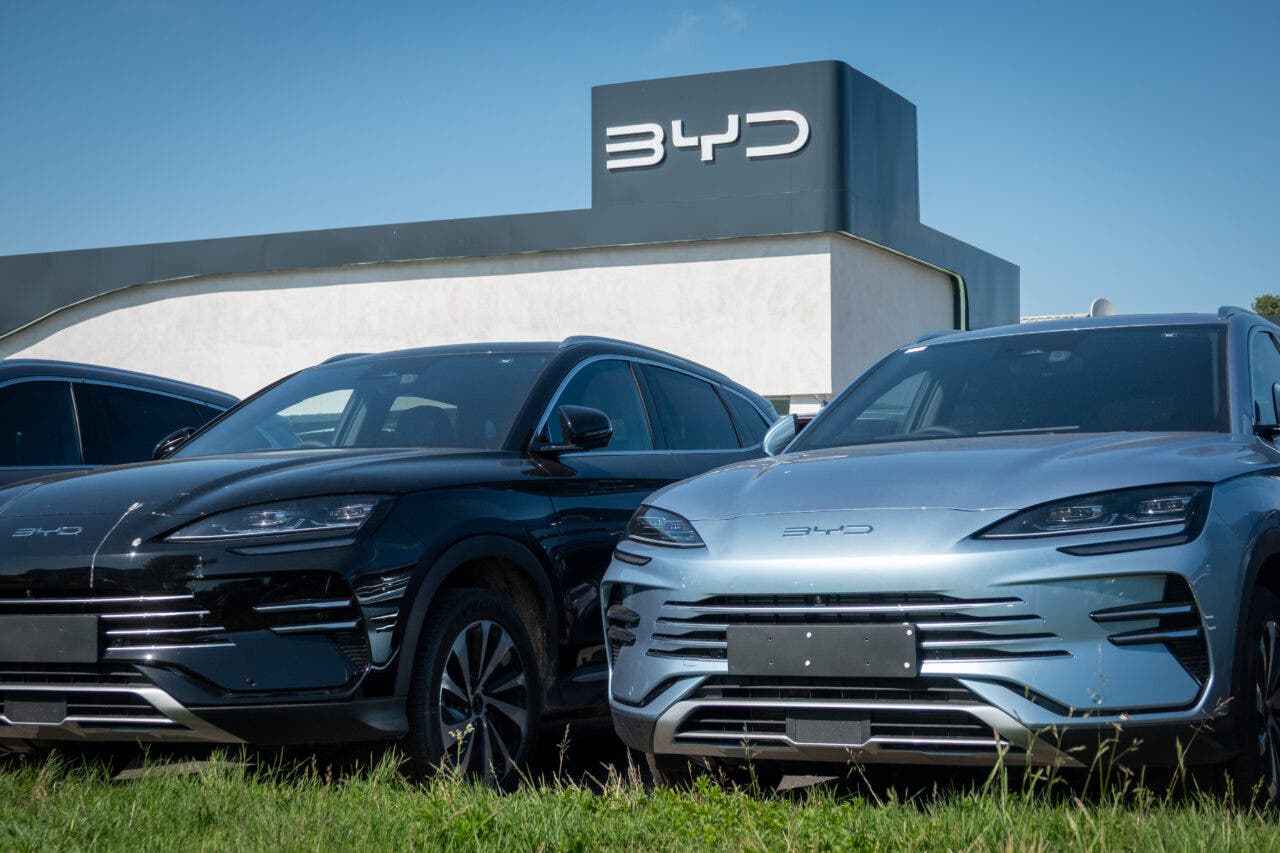concessionario byd