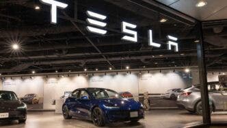 salone tesla