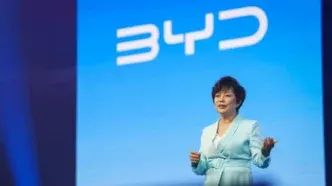 byd stella li
