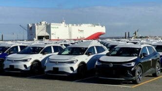 volkswagen export