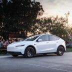 Tesla Model Y Standard