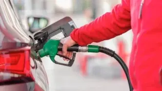 motori benzina