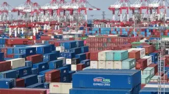 cina export
