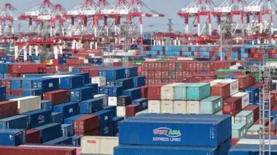 cina export