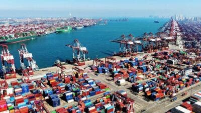 cina export