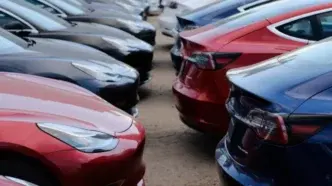 tesla flotta