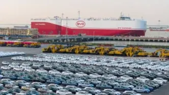BYD, export