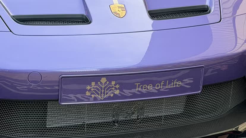 porsche-911-gt3-touring-tree-of-life