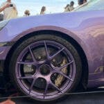 porsche 911 GTR touring tree of life