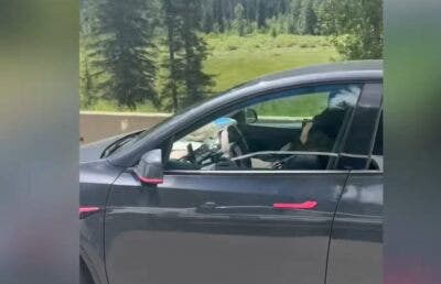 tesla fsd british columbia