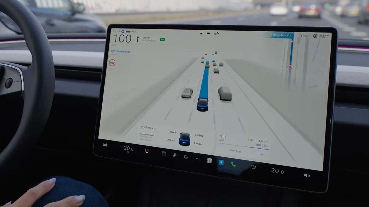 FSD Tesla assistenza