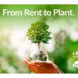 From Rent to Plant