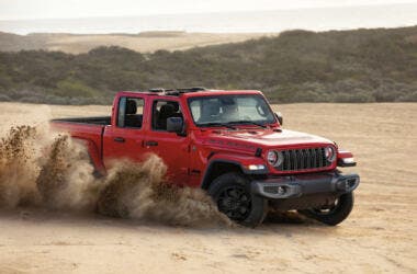 new 2025 Gladiator Big Bear Edition
