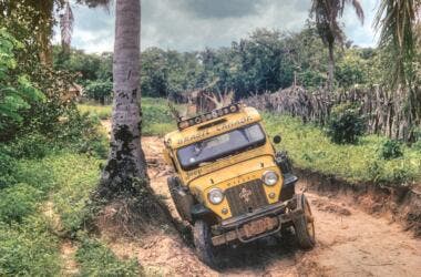 Jeep Operation Pinapple
