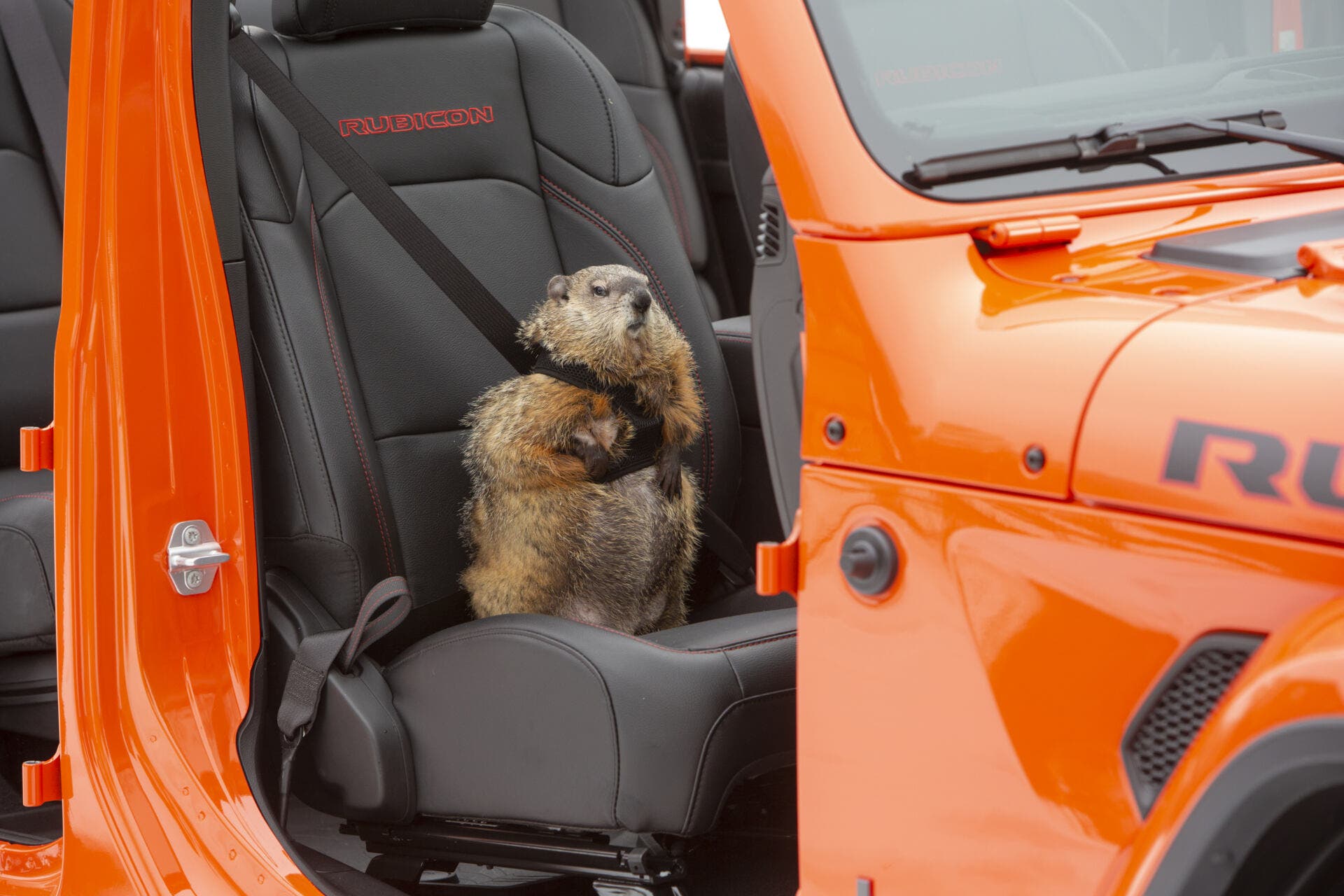 Images for Jeep® Brand’s 'Groundhog Day' Named Best American Ad of the 21st Century