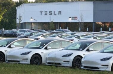 tesla plant