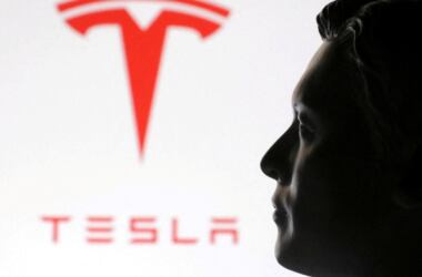 tesla badge