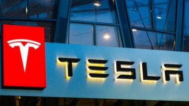 tesla plant
