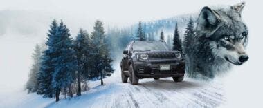 my25-jeep-renegade- wolf