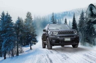 my25-jeep-renegade- wolf