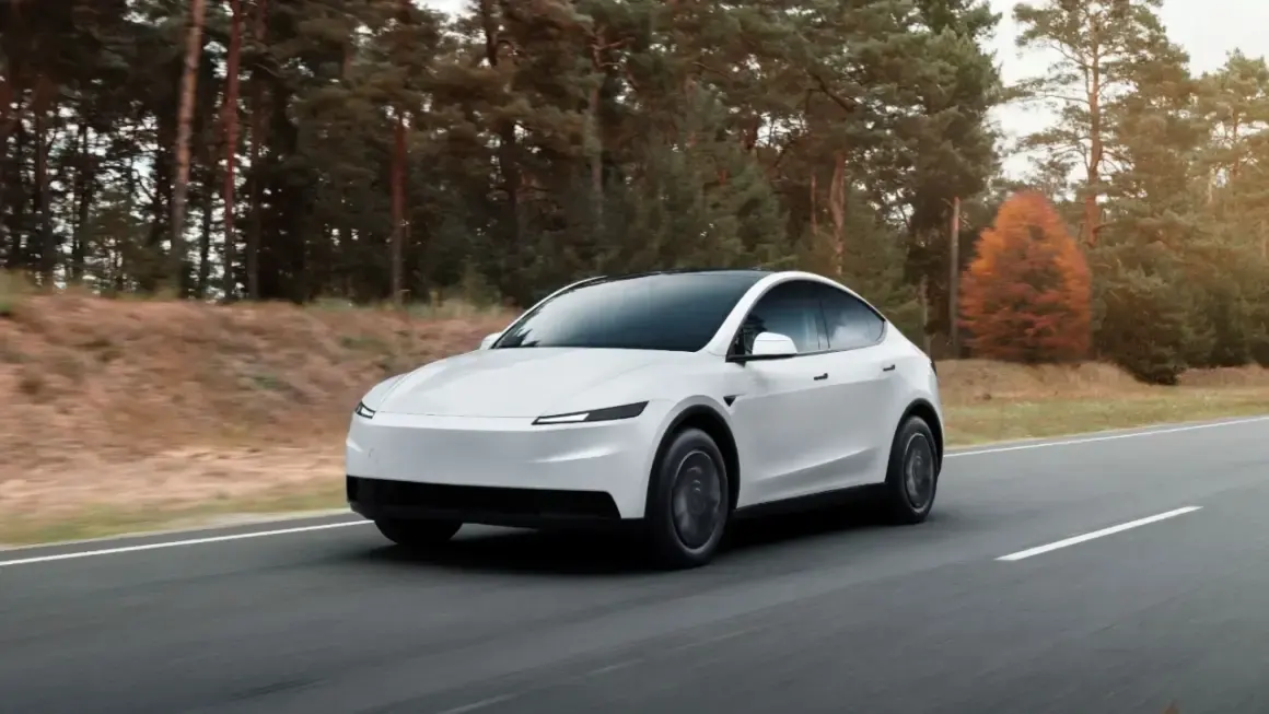 tesla model y standard