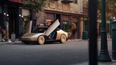 tesla robotaxi