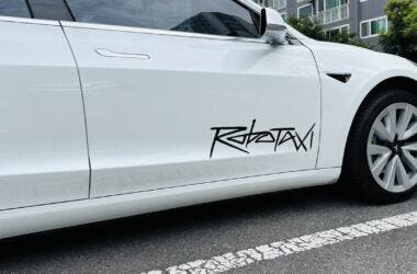 tesla robotaxi