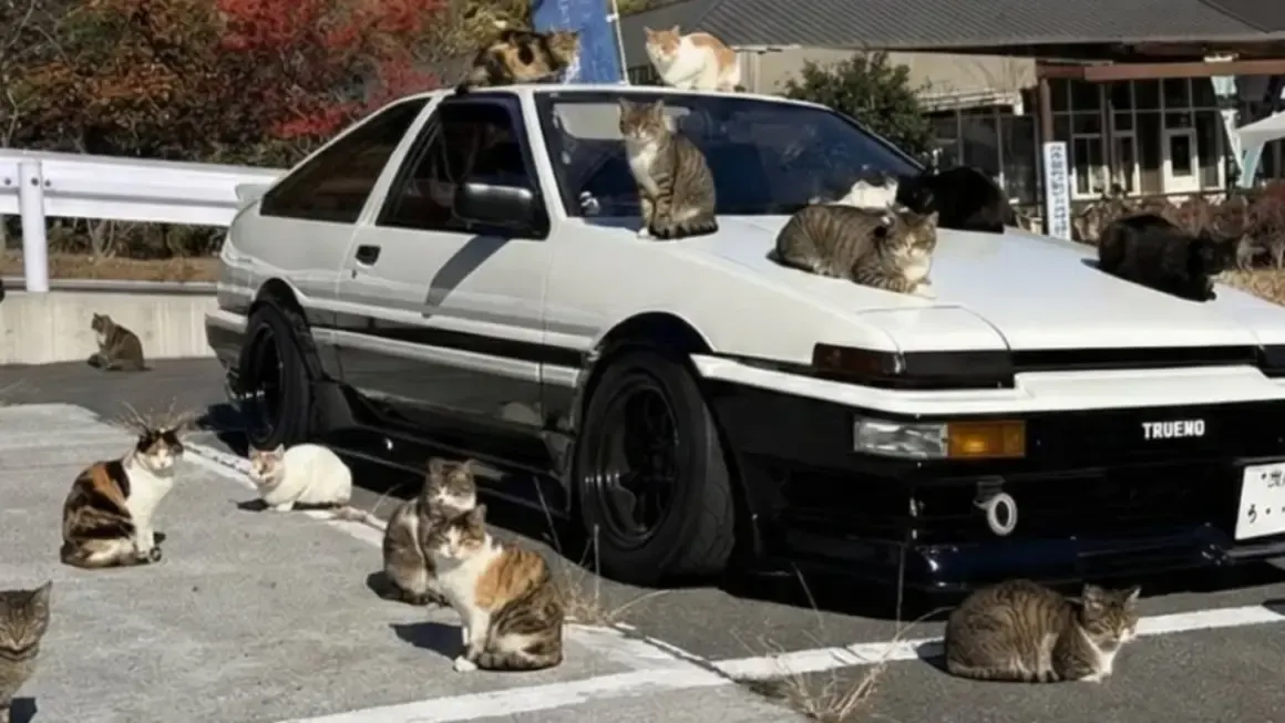 toyota ae86 cats