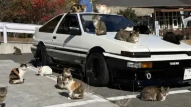 toyota ae86 cats