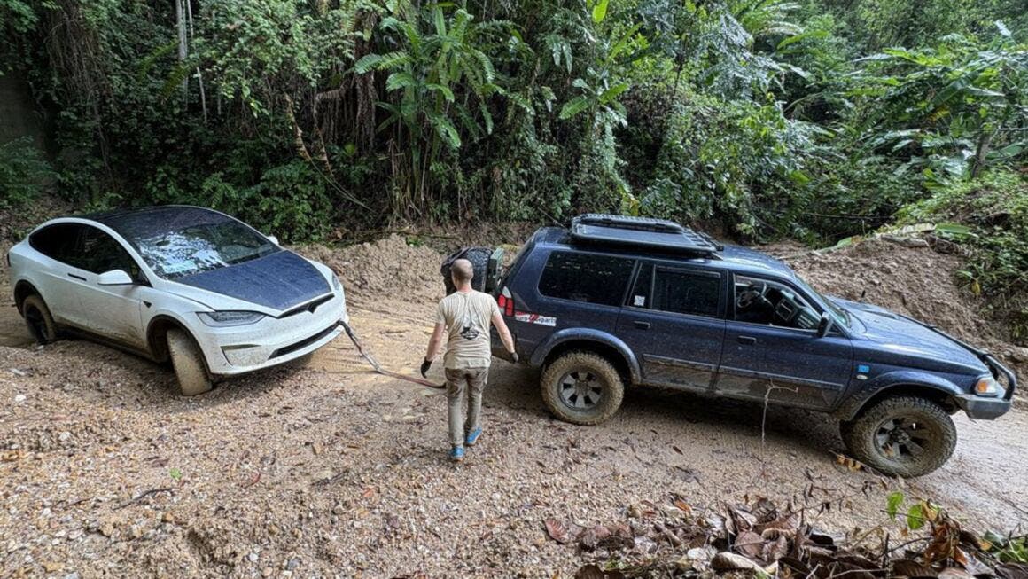 Everyday Sandro model x