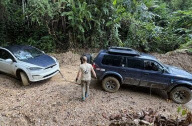 Everyday Sandro model x