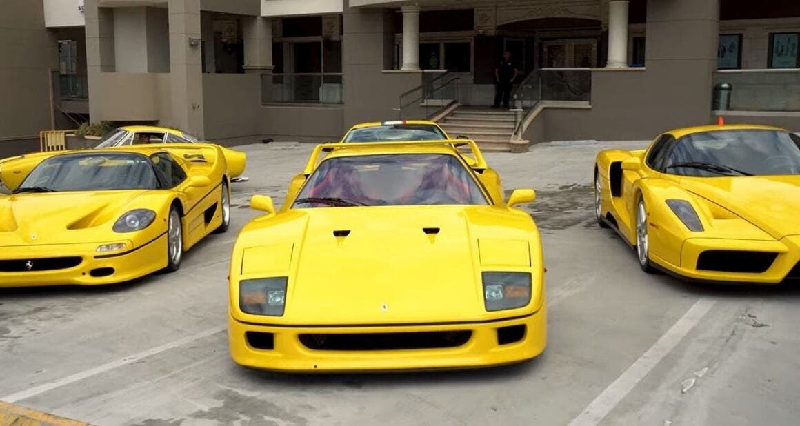 Ferrari David Lee collection