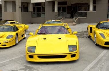 Ferrari David Lee collection