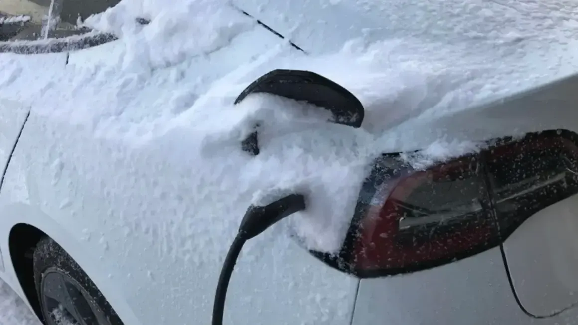 tesla frozen charging cables