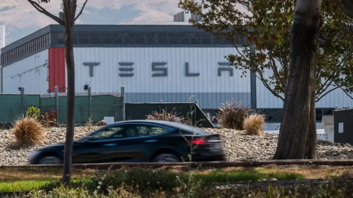 tesla plant