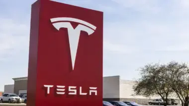 tesla badge