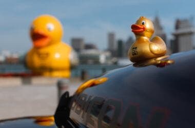 Jeep Ducking Windsor
