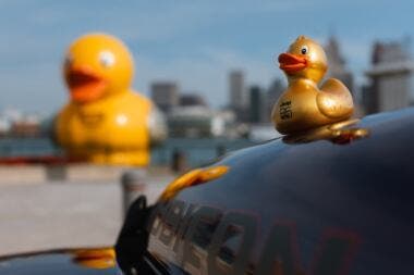 Jeep Ducking Windsor