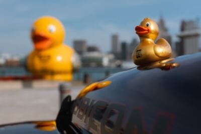 Jeep Ducking Windsor