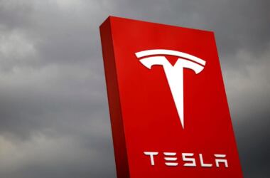 tesla badge