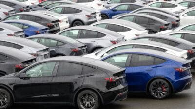 tesla model y fleet
